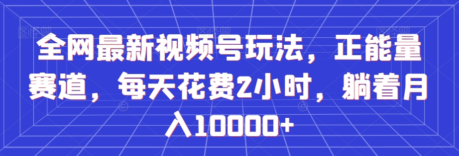 全网最新视频号玩法，正能量赛道，每天花费2小时，躺着月入10000+【揭秘】-千木学社