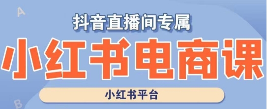 小红书电商高级运营课程，实操教学+案例分析-千木学社