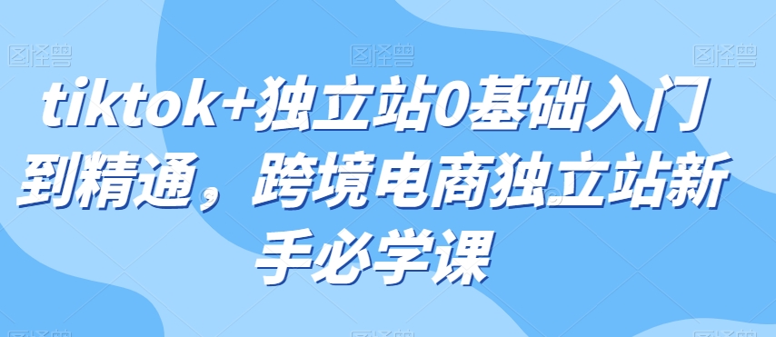 tiktok+独立站0基础入门到精通，跨境电商独立站新手必学课-千木学社