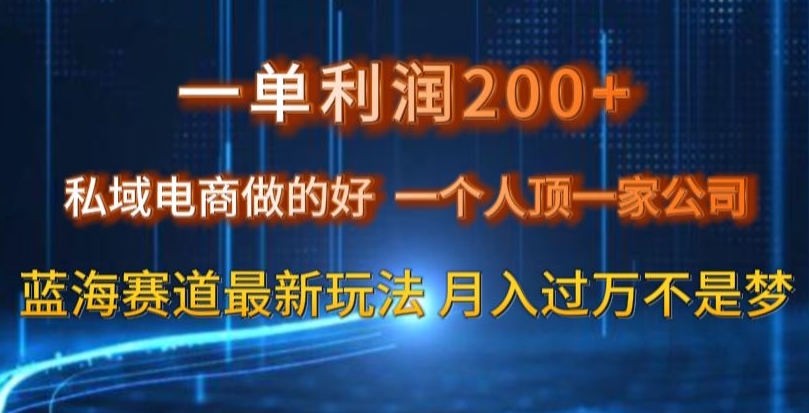 一单利润200私域电商做的好，一个人顶一家公司蓝海赛道最新玩法【揭秘】-千木学社