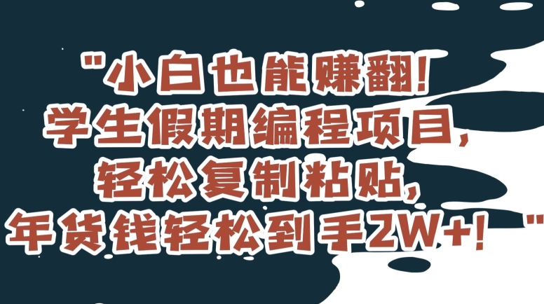 小白也能赚翻！学生假期编程项目，轻松复制粘贴，年货钱轻松到手2W+【揭秘】-千木学社