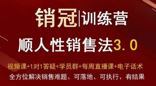 爆款！销冠训练营3.0之顺人性销售法，全方位解决销售难题、可落地、可执行、有结果-千木学社