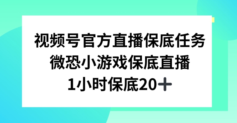 视频号直播任务，微恐小游戏，1小时20+【揭秘】-千木学社