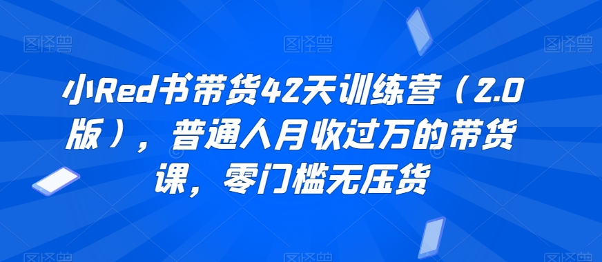 小Red书带货42天训练营（2.0版），普通人月收过万的带货课，零门槛无压货-千木学社