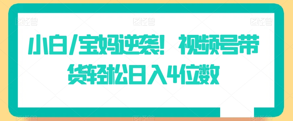 小白/宝妈逆袭！视频号带货轻松日入4位数【揭秘】-千木学社