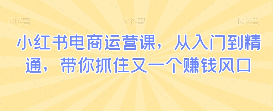 小红书电商运营课，从入门到精通，带你抓住又一个赚钱风口-千木学社