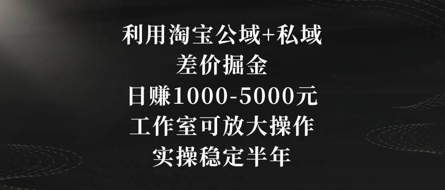 利用淘宝公域+私域差价掘金，日赚1000-5000元，工作室可放大操作，实操稳定半年【揭秘】-千木学社