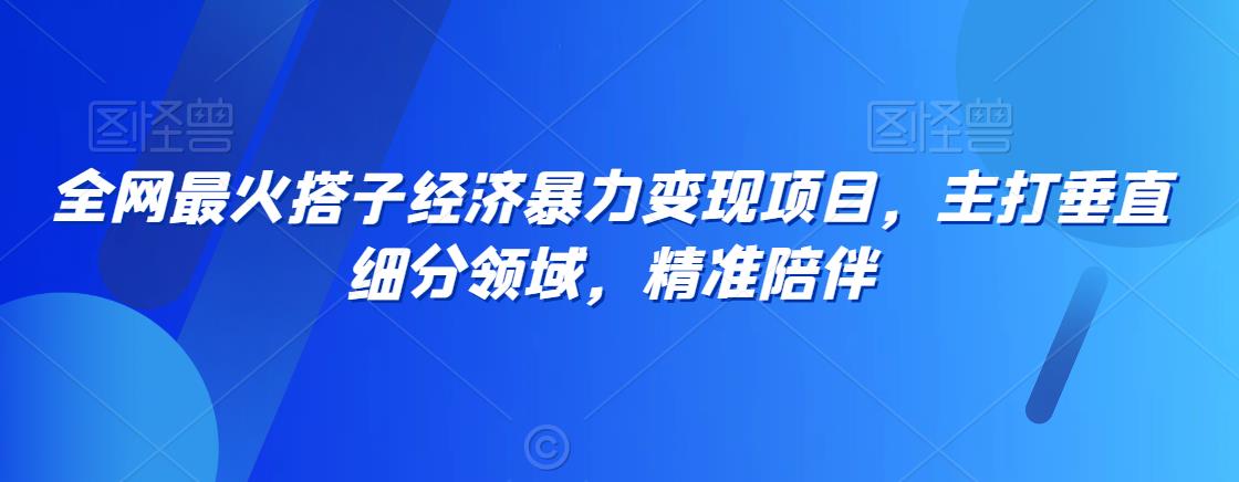 全网最火搭子经济暴力变现项目，主打垂直细分领域，精准陪伴【揭秘】-千木学社