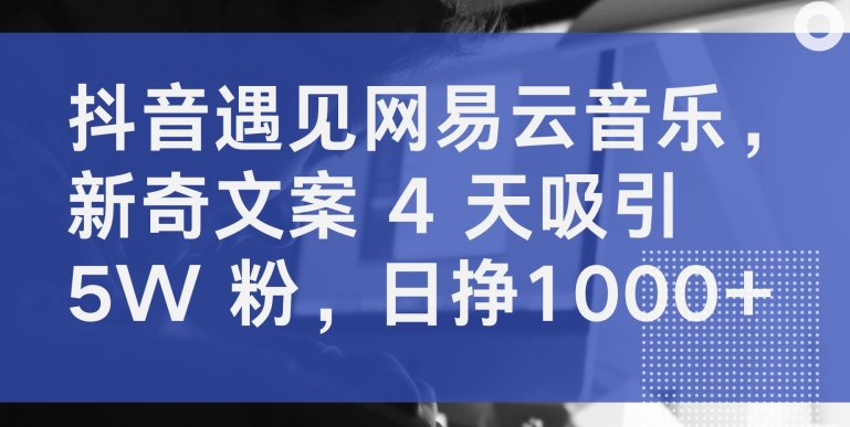 抖音遇见网易云音乐，新奇文案 4 天吸引 5W 粉，日挣1000+【揭秘】-千木学社