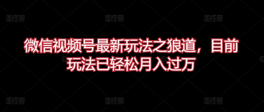 微信视频号最新玩法之狼道，目前玩法已轻松月入过万【揭秘】-千木学社