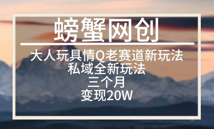 大人玩具情Q用品赛道私域全新玩法，三个月变现20W，老项目新思路【揭秘】-千木学社