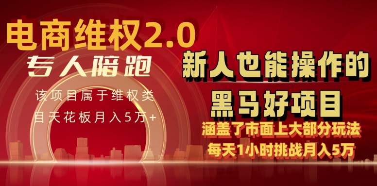 电商维权 4.0 如何做到月入 5 万+每天 1 小时新人也能快速上手【仅揭秘】-千木学社