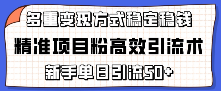 精准项目粉高效引流术，新手单日引流50+，多重变现方式稳定赚钱【揭秘】-千木学社