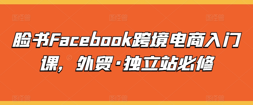 脸书Facebook跨境电商入门课，外贸·独立站必修-千木学社