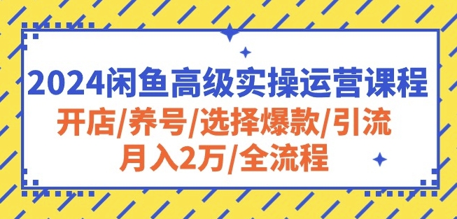 2024闲鱼高级实操运营课程：开店/养号/选择爆款/引流/月入2万/全流程-千木学社