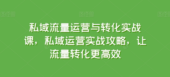 私域流量运营与转化实战课，私域运营实战攻略，让流量转化更高效-千木学社