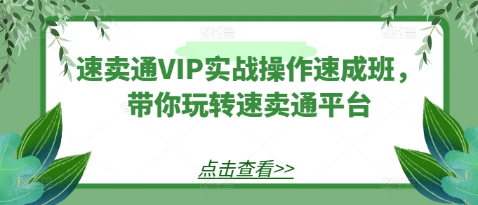 速卖通VIP实战操作速成班，带你玩转速卖通平台-千木学社