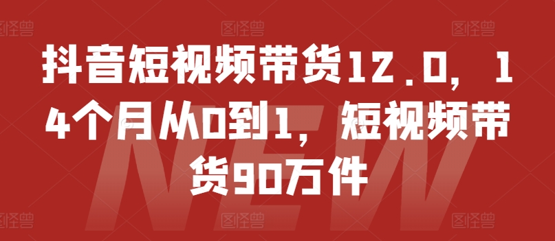 抖音短视频带货12.0，14个月从0到1，短视频带货90万件-千木学社