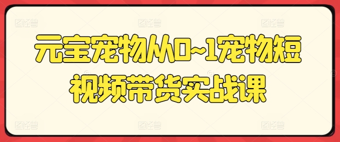 元宝宠物从0~1宠物短视频带货实战课-千木学社