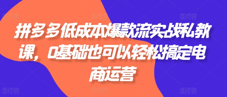 拼多多低成本爆款流实战私教课，0基础也可以轻松搞定电商运营-千木学社