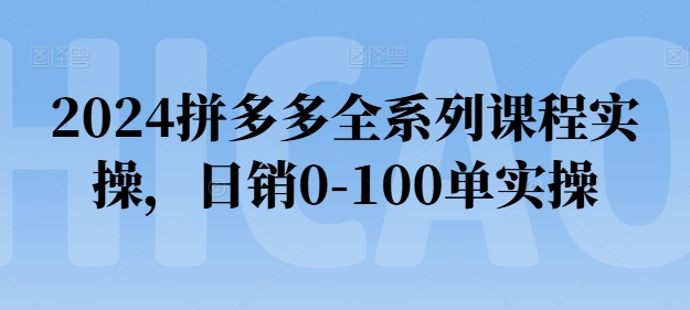 2024拼多多全系列课程实操，日销0-100单实操【必看】-千木学社