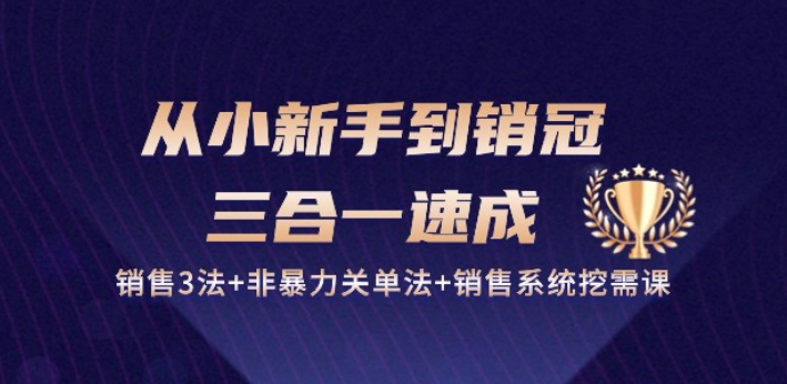 从小新手到销冠 三合一速成：销售3法+非暴力关单法+销售系统挖需课 (27节)-千木学社