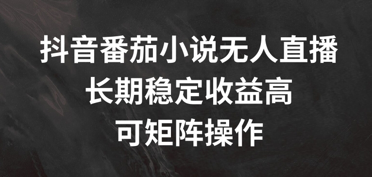 抖音番茄小说无人直播，长期稳定收益高，可矩阵操作【揭秘】-千木学社