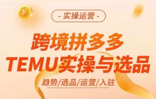 跨境拼多多TEMU实操与选品，多多temu跨境选品运营实操-千木学社