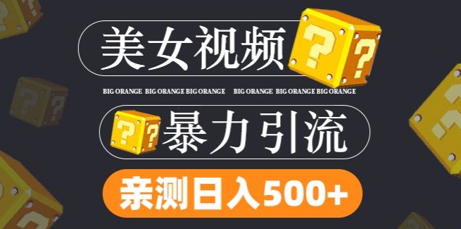 搬运tk美女视频全网分发，日引s粉300+，轻松变现，不限流量不封号【揭秘】-千木学社