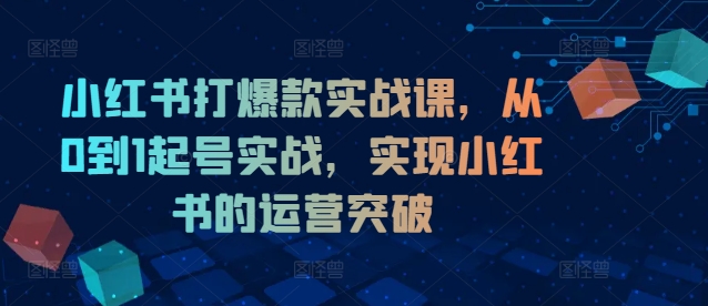 小红书打爆款实战课，从0到1起号实战，实现小红书的运营突破-千木学社