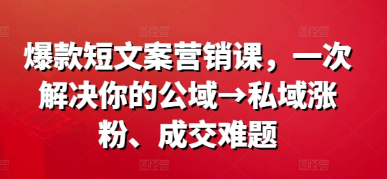 爆款短文案营销课，一次解决你的公域→私域涨粉、成交难题-千木学社