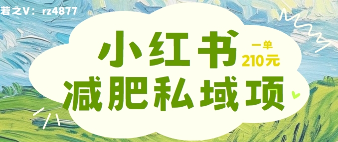 小红书减肥粉，私域变现项目，一单就达210元，小白也能轻松上手【揭秘】-千木学社