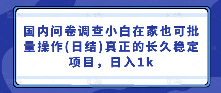 国内问卷调查小白在家也可批量操作(日结)真正的长久稳定项目，日入1k【揭秘】-千木学社