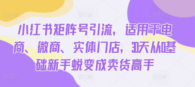 小红书矩阵号引流，适用于电商、微商、实体门店，30天从0基础新手蜕变成卖货高手-千木学社