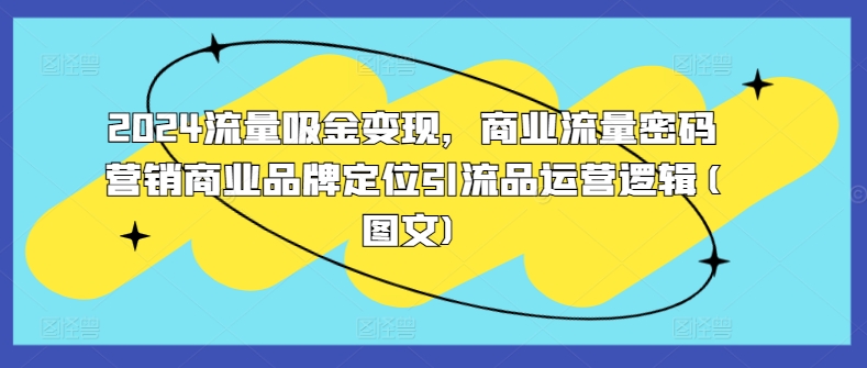 2024流量吸金变现，商业流量密码营销商业品牌定位引流品运营逻辑(图文)-千木学社