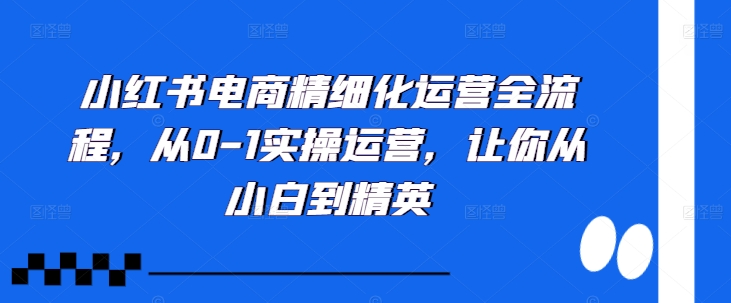 小红书电商精细化运营全流程，从0-1实操运营，让你从小白到精英-千木学社