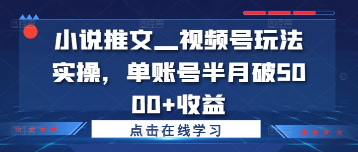 小说推文—视频号玩法实操，单账号半月破5000+收益-千木学社