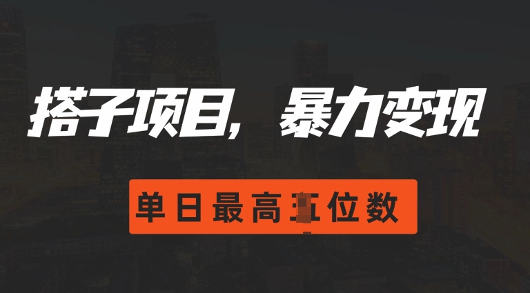 2024搭子玩法，0门槛，暴力变现，单日最高破四位数【揭秘】-千木学社