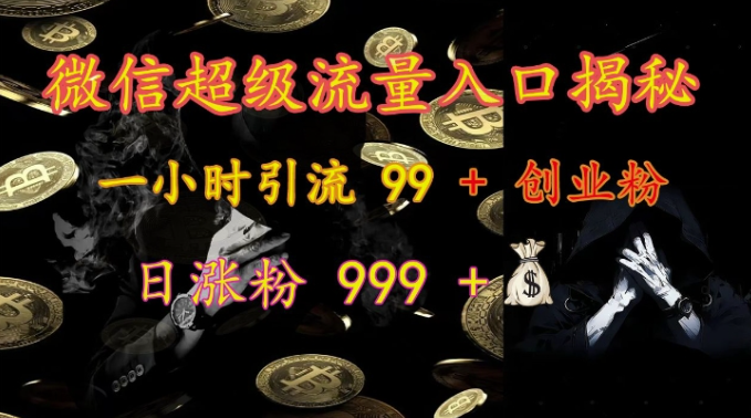 微信超级流量入口揭秘：一小时引流 99 + 创业粉，日涨粉 999 +-千木学社