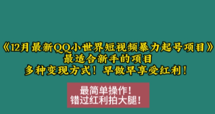 12月最新QQ小世界短视频暴力起号项目，最适合新手的项目，多种变现方式-千木学社